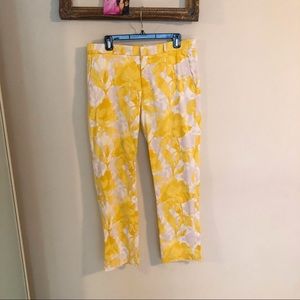 Banana Republic Ryan Pants size 10
